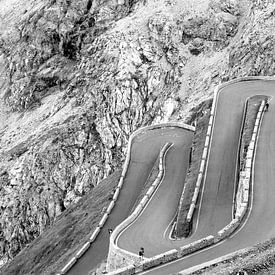 Naar de top van de Stelvio van Dirk Jan Kralt