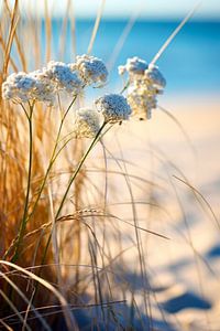 Beach Impressions No 2