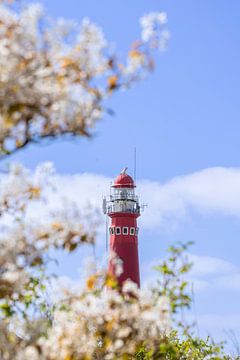 Leuchtturm Schiermonnikoog im Rampenlicht von Hilda Weges