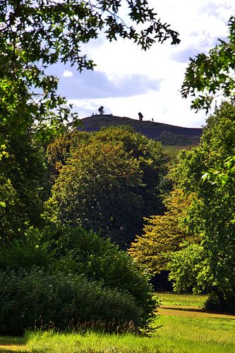 Lohmühlenpark 5