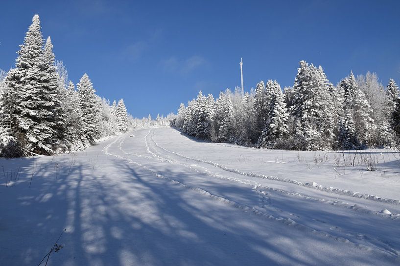 The recreation ground in winter by Claude Laprise
