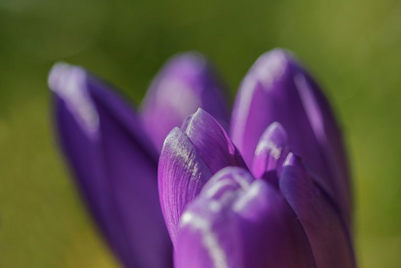 lente ! by Roland Smanski