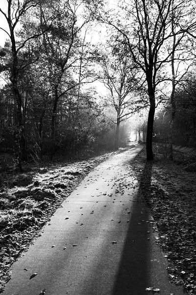 Chemin de randonnée avec des feuilles en automne par Linda Benjamins