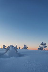 Fins Lapland von Luc Buthker