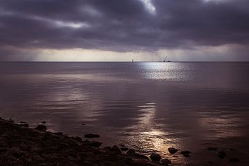 Ameland van Peter Dane