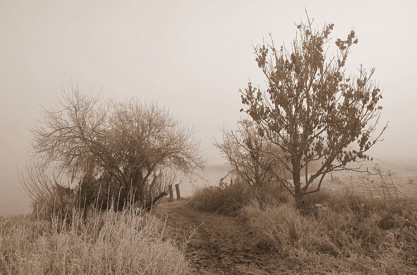 Winter image in sepia by Jose Lok