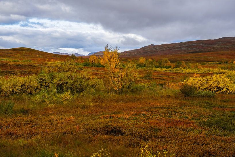L'automne dans le Grand Nord par Joke Beers-Blom