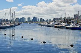 Yachten im Yachthafen von Frank's Awesome Travels