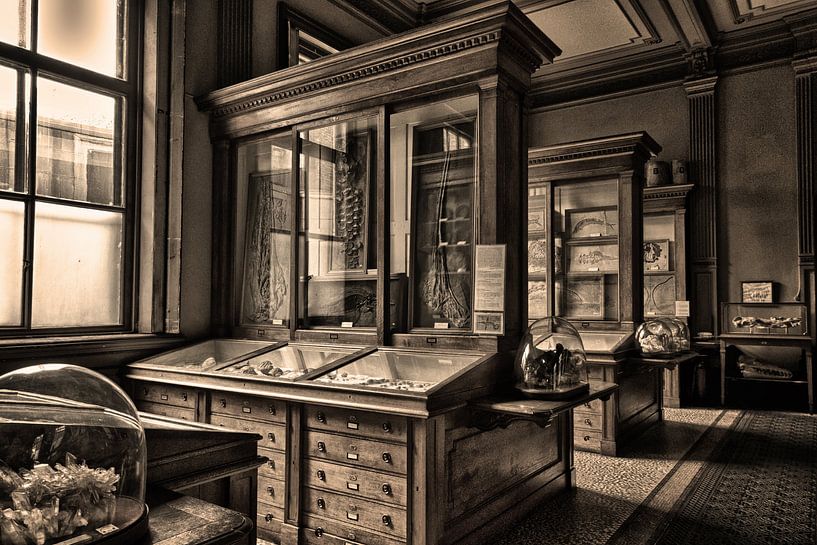 Het oudste museum van Jeroen Wijnands