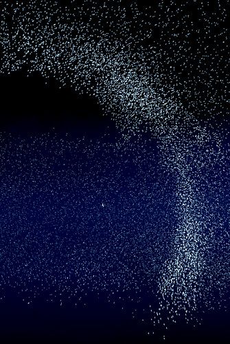 Starling dance in the blue hour