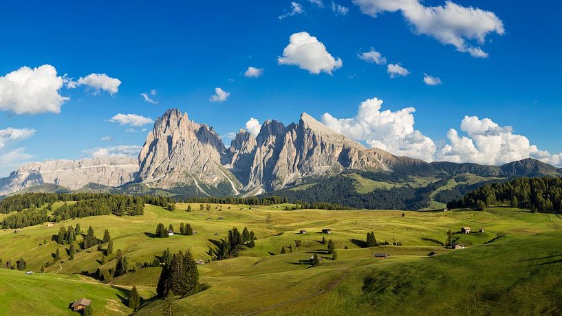 Alpe di Siusi in the Dolomites by Dieter Meyrl