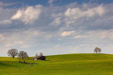 Spring atmosphere near Steingaden