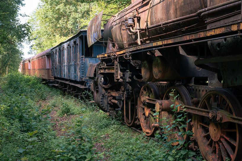 Verlaten stoomtrein van Tim Vlielander