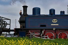 Tulip Train by Truckpowerr