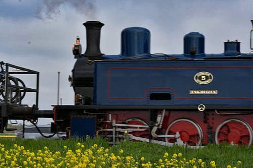Tulpen Trein