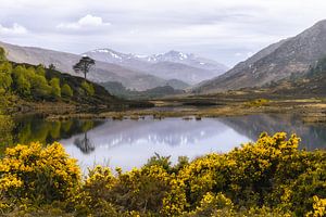 Abend in Glen Strathfarrar