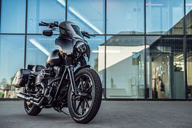 Harley Davidson by Bas Fransen