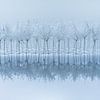 Abstract with a touch of blue by Marjolijn van den Berg
