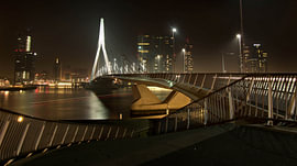 Rotterdam by Night – La magie du pont Erasmus sur Elisabeth Rozenberg