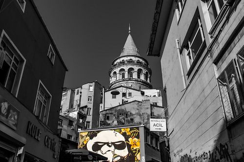 Panda am Fuße von Galata