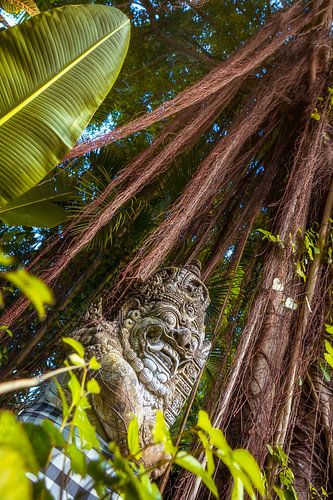 Barong beeld in het oerwoud