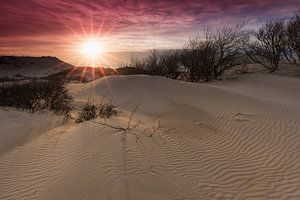 Sunset over Sand Dunes sur Rob Kints