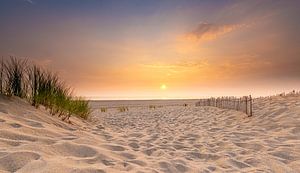 Sand