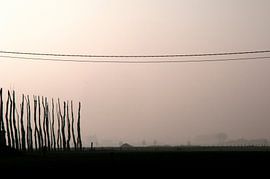 donkere takken by Carla Godrie