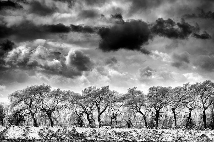 Hollandse Gat van Willy Lippens