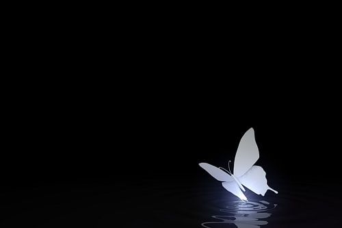 Origami vlinder boven het water