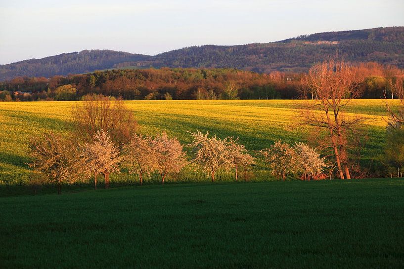 Picturesque Upper Lusatia by Thomas Jäger