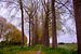 Zwischen den Bäumen in Sint-Laureins (Belgien) von FotoGraaG Hanneke