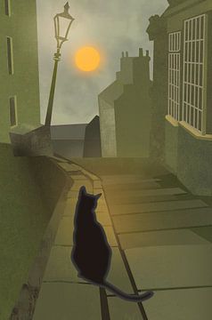 Vollmond | Citycats 6