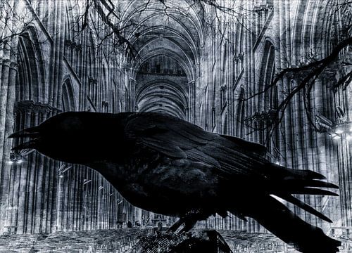 Zwarte raaf in een kerk 2 van Nicky`s Prints