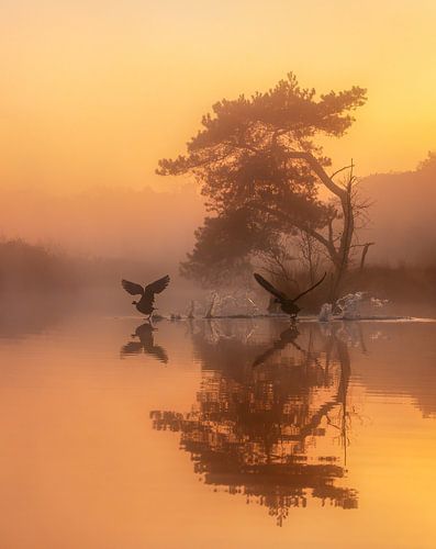 An early spring morning