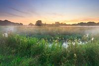 Meandering stream at sunrise