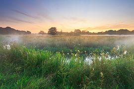 Meandering stream at sunrise by Karla Leeftink