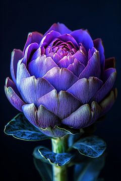 Artichokes Serenade ii by Studio BB