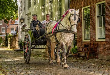 Elegance of yesteryear by Ria Overbeeke