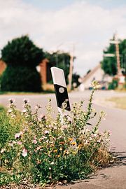 Au bord du chemin No. 3