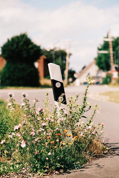 Au bord du chemin No. 3 par Momentaufnahme | Marius Ahlers