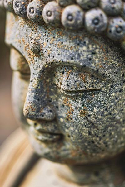 buddha von Imperial Art House