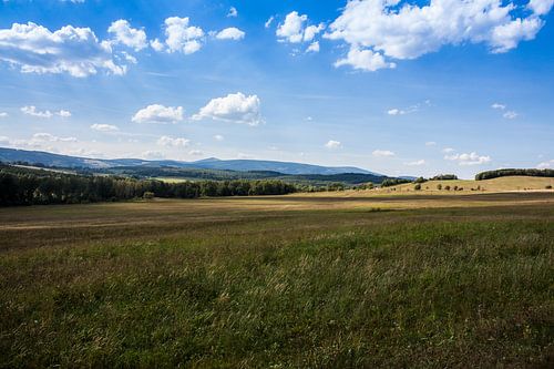 Landschaft