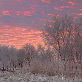 winter glow pana van Martijn Verhulsdonck