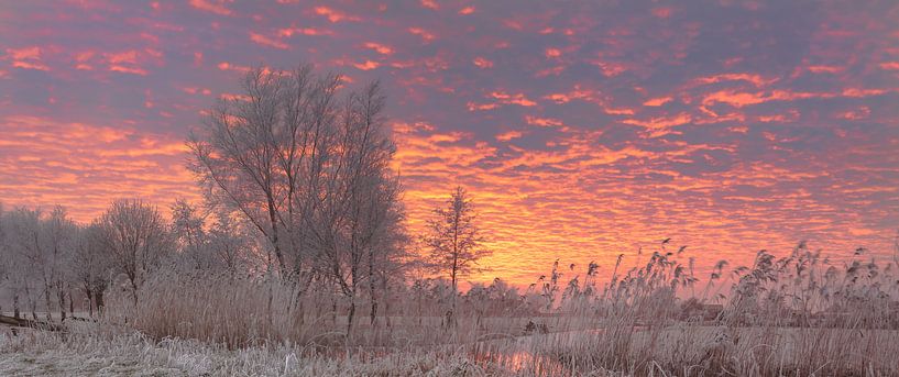 winter glow pana by Martijn Verhulsdonck