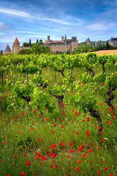 Carcassonne met wijngaard en klaprozen van Voss Fine Art Fotografie