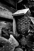 Maison d'oiseaux dans le jardin monochrome