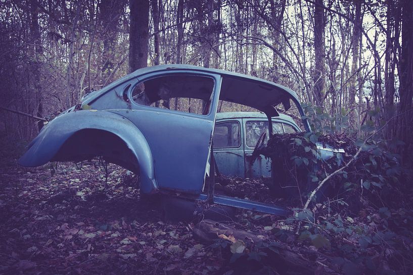 Auto achtergelaten in het bos van On Your Wall