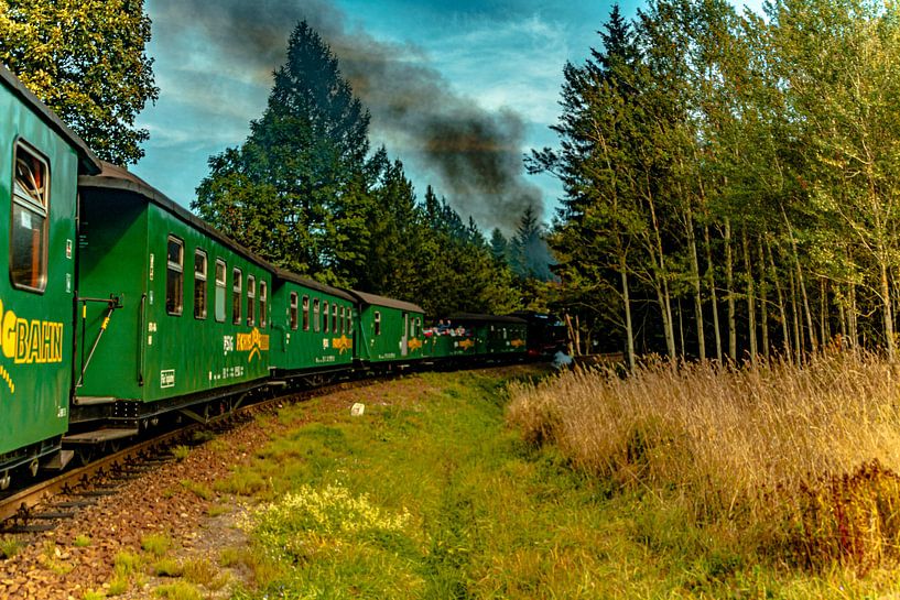 herfstlandschap in het prachtige Erzgebirge Fichtelbergbahn van Johnny Flash