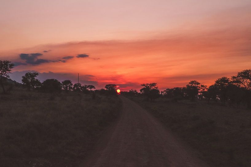 Driving to the sun by Niels pothof